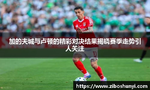 加的夫城与卢顿的精彩对决结果揭晓赛季走势引人关注